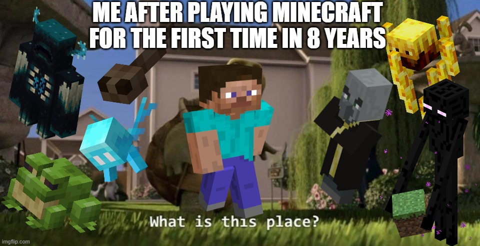 What is this place | ME AFTER PLAYING MINECRAFT FOR THE FIRST TIME IN 8 YEARS | image tagged in what is this place | made w/ Imgflip meme maker