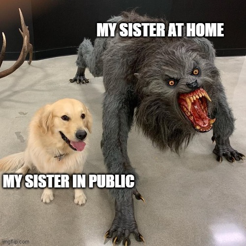 My sis at home vs public | MY SISTER AT HOME; MY SISTER IN PUBLIC | image tagged in good dog scary dog | made w/ Imgflip meme maker
