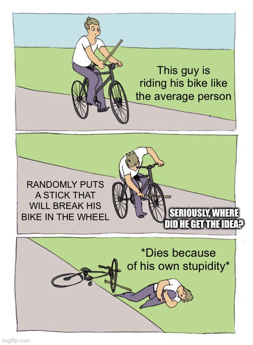 Roasting a meme (this is the beginning of a series) | This guy is riding his bike like the average person; RANDOMLY PUTS A STICK THAT WILL BREAK HIS BIKE IN THE WHEEL; SERIOUSLY, WHERE DID HE GET THE IDEA? *Dies because of his own stupidity* | image tagged in memes,bike fall,lol,roasting a meme | made w/ Imgflip meme maker