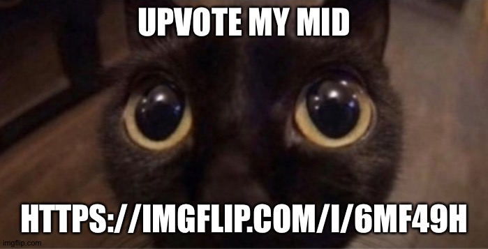 Skrunkly | UPVOTE MY MID; HTTPS://IMGFLIP.COM/I/6MF49H | image tagged in skrunkly | made w/ Imgflip meme maker