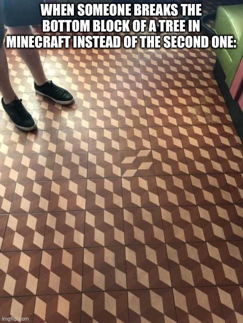 It’s so triggering | WHEN SOMEONE BREAKS THE BOTTOM BLOCK OF A TREE IN MINECRAFT INSTEAD OF THE SECOND ONE: | image tagged in ocd | made w/ Imgflip meme maker