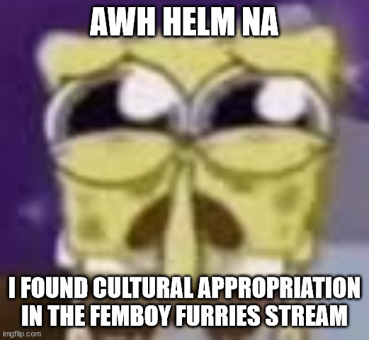 BRO KYS FR | AWH HELM NA; I FOUND CULTURAL APPROPRIATION IN THE FEMBOY FURRIES STREAM | made w/ Imgflip meme maker