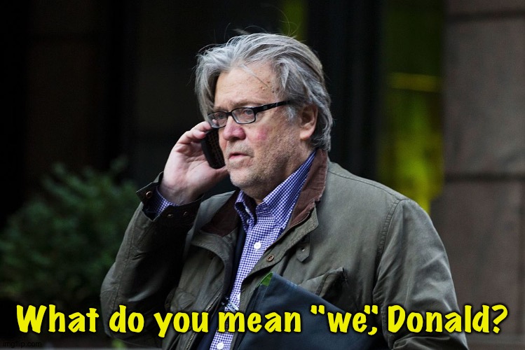 Steve Bannon on Phone | What do you mean "we", Donald? | image tagged in steve bannon on phone | made w/ Imgflip meme maker