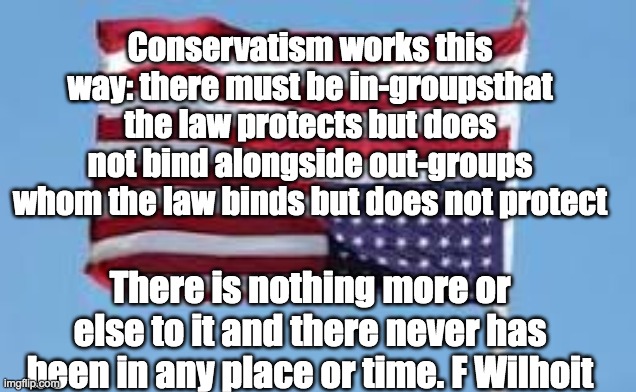 definition of terms | Conservatism works this way: there must be in-groupsthat the law protects but does not bind alongside out-groups whom the law binds but does not protect; There is nothing more or else to it and there never has been in any place or time. F Wilhoit | image tagged in conservatives,ah yes enslaved,double standards,working class | made w/ Imgflip meme maker