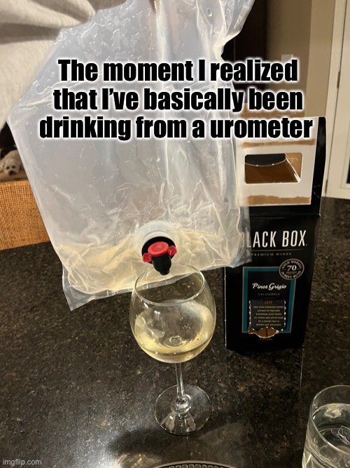 Nurse Life | The moment I realized that I’ve basically been drinking from a urometer | image tagged in nurses,nurse life,wine,that moment when you realize | made w/ Imgflip meme maker