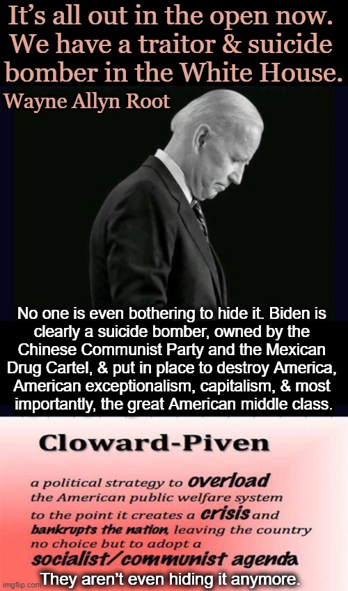 OWNED! Bought and Paid For.... | image tagged in politics,joe biden,china,drug cartel,owned,cloward piven strategy | made w/ Imgflip meme maker