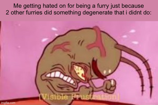 people who do that to me really piss me off | Me getting hated on for being a furry just because 2 other furries did something degenerate that i didnt do: | image tagged in visible frustration | made w/ Imgflip meme maker
