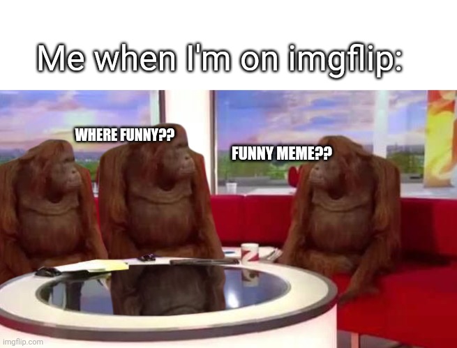 E | Me when I'm on imgflip:; FUNNY MEME?? WHERE FUNNY?? | image tagged in where monkey | made w/ Imgflip meme maker