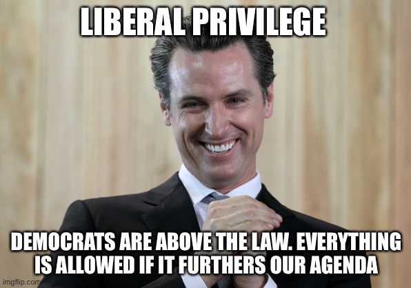 Scheming Gavin Newsom  | LIBERAL PRIVILEGE DEMOCRATS ARE ABOVE THE LAW. EVERYTHING IS ALLOWED IF IT FURTHERS OUR AGENDA | image tagged in scheming gavin newsom | made w/ Imgflip meme maker