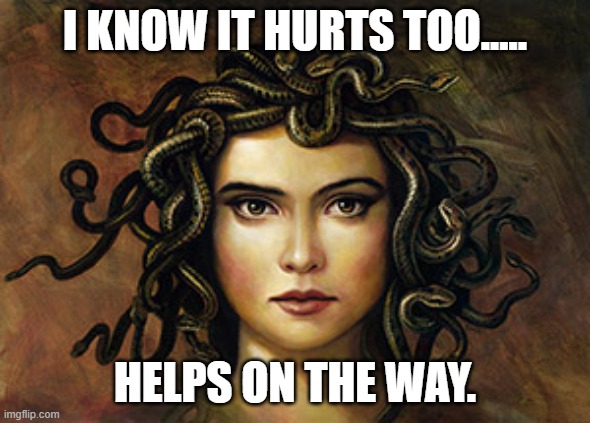 Medusa | I KNOW IT HURTS TOO..... HELPS ON THE WAY. | image tagged in medusa | made w/ Imgflip meme maker