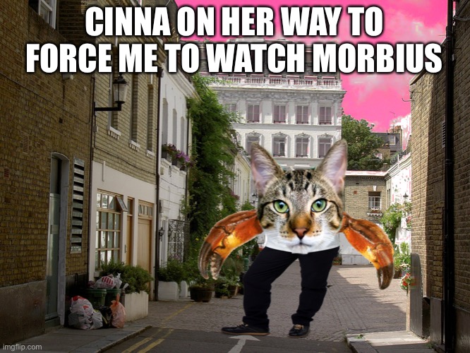 It’s just... not what I expect from Sony Marvel movies :wink: | CINNA ON HER WAY TO FORCE ME TO WATCH MORBIUS | image tagged in makin' my way downtown,morbius | made w/ Imgflip meme maker