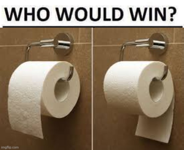 Which way is the right way,  and why? | image tagged in who would win,toilet paper rolls | made w/ Imgflip meme maker