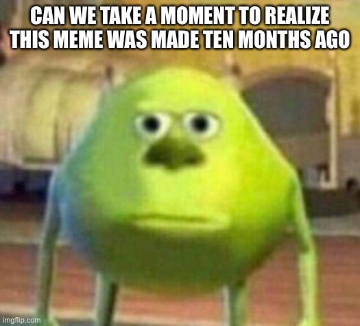 Mike Monster Inc Bruh Meme | CAN WE TAKE A MOMENT TO REALIZE THIS MEME WAS MADE TEN MONTHS AGO | image tagged in mike monster inc bruh meme | made w/ Imgflip meme maker