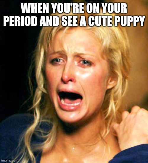 Paris hilton period meme | WHEN YOU'RE ON YOUR PERIOD AND SEE A CUTE PUPPY | image tagged in periods,period,paris hilton | made w/ Imgflip meme maker