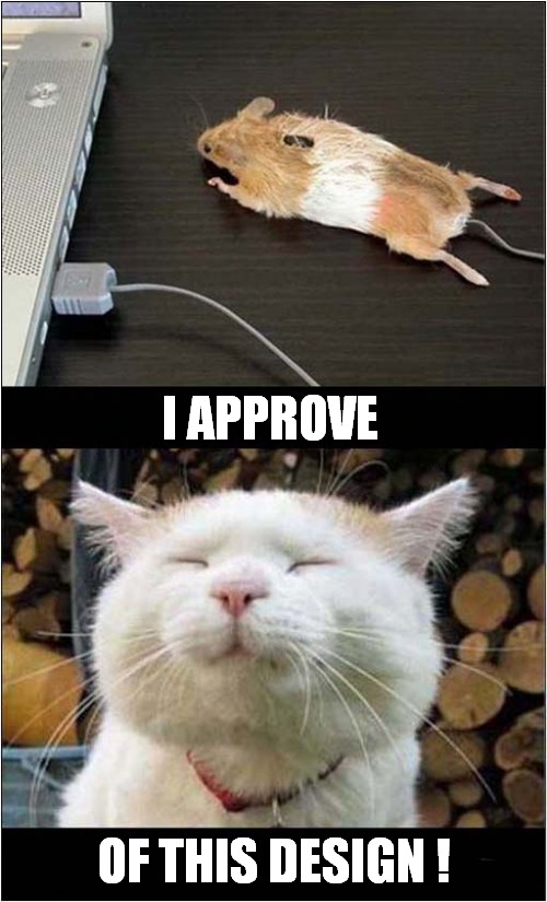 ' Mouse ' | I APPROVE; OF THIS DESIGN ! | image tagged in cats,mouse,approves,design | made w/ Imgflip meme maker