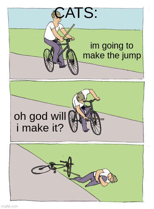 Bike Fall | CATS:; im going to make the jump; oh god will i make it? | image tagged in memes,bike fall,cats | made w/ Imgflip meme maker