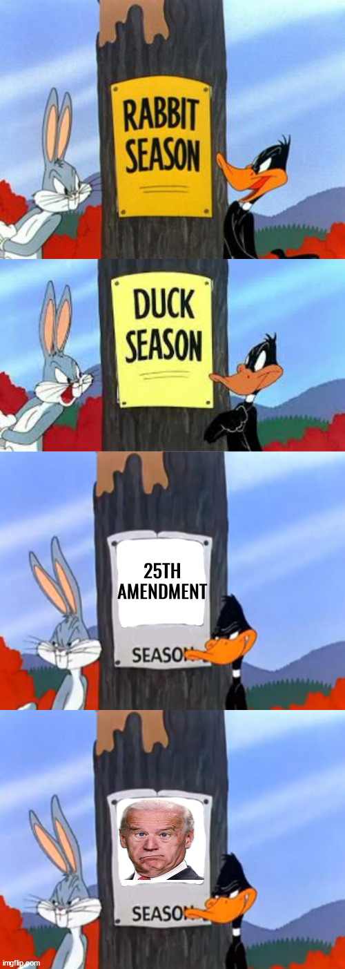 Bring It On | 25TH AMENDMENT | image tagged in rabbit season duck season,memes,joe biden,brace yourselves x is coming,season,bring it on | made w/ Imgflip meme maker