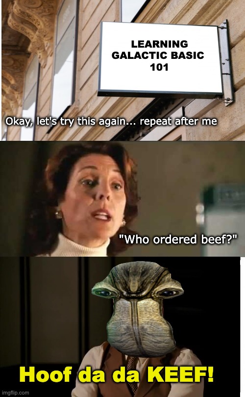 He almost had it... | LEARNING GALACTIC BASIC 
101; Okay, let's try this again... repeat after me; "Who ordered beef?"; Hoof da da KEEF! | image tagged in memes,star wars,funny,kotor | made w/ Imgflip meme maker