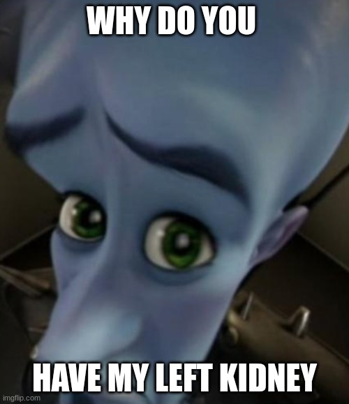 gimme it back >:((( | WHY DO YOU; HAVE MY LEFT KIDNEY | image tagged in sad megamind | made w/ Imgflip meme maker