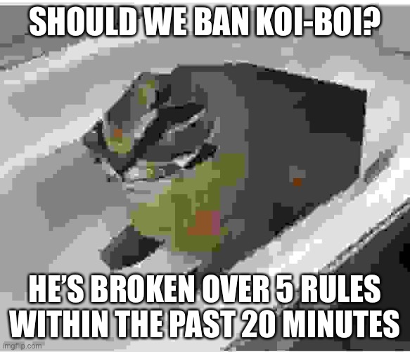 low quality floppa | SHOULD WE BAN KOI-BOI? HE’S BROKEN OVER 5 RULES WITHIN THE PAST 20 MINUTES | image tagged in low quality floppa | made w/ Imgflip meme maker