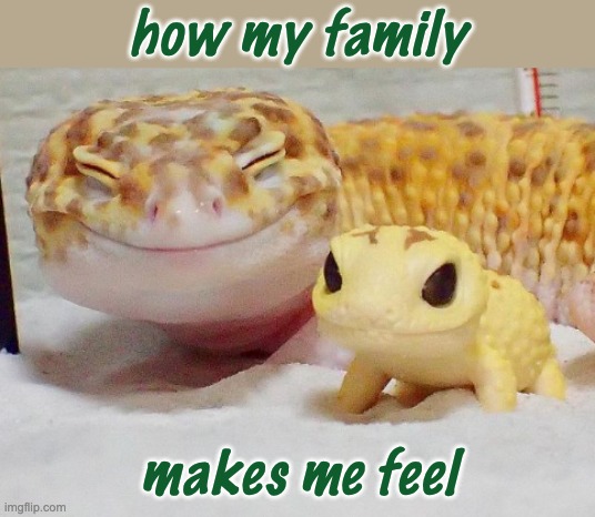 Really, truly | how my family; makes me feel | image tagged in gecko's baby,family,wholesome,love,gecko | made w/ Imgflip meme maker