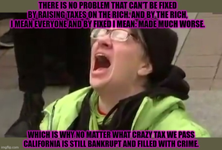 Screaming Liberal  | THERE IS NO PROBLEM THAT CAN'T BE FIXED BY RAISING TAXES ON THE RICH. AND BY THE RICH, I MEAN EVERYONE AND BY FIXED I MEAN: MADE MUCH WORSE. | image tagged in screaming liberal | made w/ Imgflip meme maker