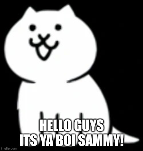 sup fella's! | HELLO GUYS ITS YA BOI SAMMY! | image tagged in modern cat my beloved,sammy,memes,funny,cat,lol | made w/ Imgflip meme maker