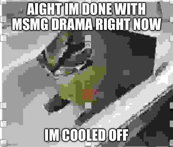 Very low quality floppa | AIGHT IM DONE WITH MSMG DRAMA RIGHT NOW; IM COOLED OFF | image tagged in very low quality floppa | made w/ Imgflip meme maker