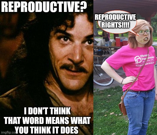 Inigo Montoya |  REPRODUCTIVE? REPRODUCTIVE RIGHTS!!!! I DON'T THINK THAT WORD MEANS WHAT YOU THINK IT DOES | image tagged in memes,inigo montoya | made w/ Imgflip meme maker