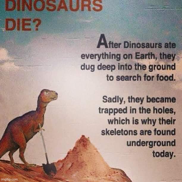 How did dinosaurs die | image tagged in how did dinosaurs die | made w/ Imgflip meme maker