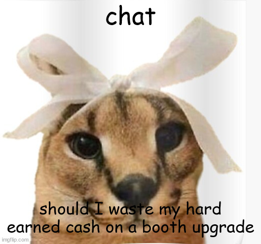 Miss Floppa | chat; should I waste my hard earned cash on a booth upgrade | image tagged in miss floppa | made w/ Imgflip meme maker