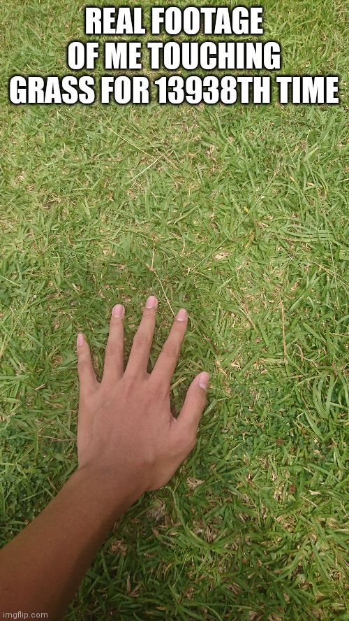 *giga chad music plays* | REAL FOOTAGE OF ME TOUCHING GRASS FOR 13938TH TIME | image tagged in grass | made w/ Imgflip meme maker