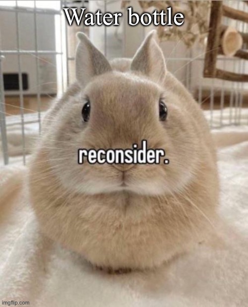 reconsider | Water bottle | image tagged in reconsider,shitpost | made w/ Imgflip meme maker