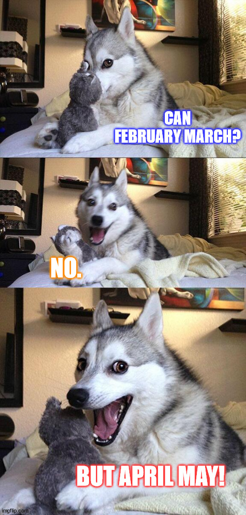 Oh, how the months go by... pun style. |  CAN FEBRUARY MARCH? NO. BUT APRIL MAY! | image tagged in memes,bad pun dog,funny,funny memes,month,bad pun | made w/ Imgflip meme maker