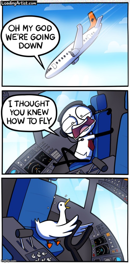 Going down | image tagged in comics,airplane,airplanes,birds,bird,comics/cartoons | made w/ Imgflip meme maker