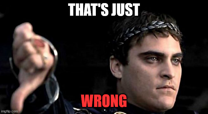 THAT'S JUST WRONG | image tagged in commodus thumbs down | made w/ Imgflip meme maker
