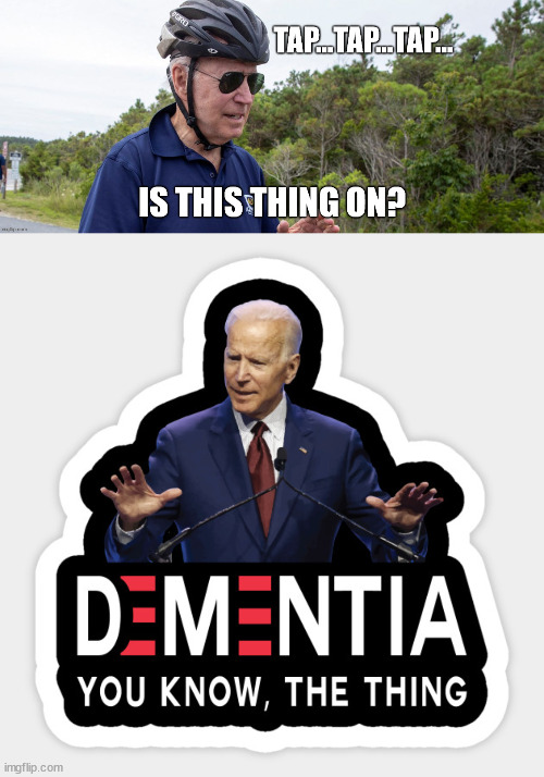 Can't protect something that's already gone... | image tagged in dementia,joe biden | made w/ Imgflip meme maker