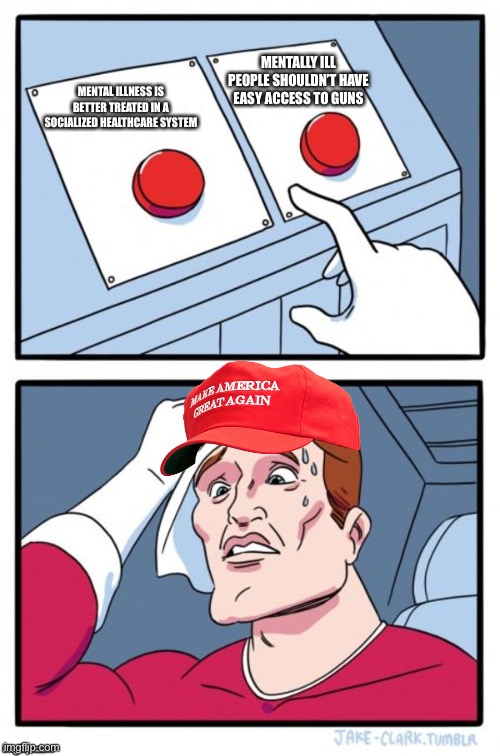 Two Button Maga Hat | MENTAL ILLNESS IS BETTER TREATED IN A SOCIALIZED HEALTHCARE SYSTEM MENTALLY ILL PEOPLE SHOULDN’T HAVE EASY ACCESS TO GUNS | image tagged in two button maga hat | made w/ Imgflip meme maker