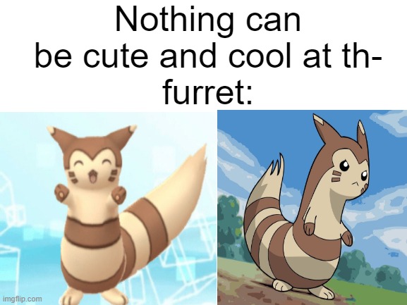 Furret is my favorite pokemon :D | Nothing can be cute and cool at th-
furret: | made w/ Imgflip meme maker