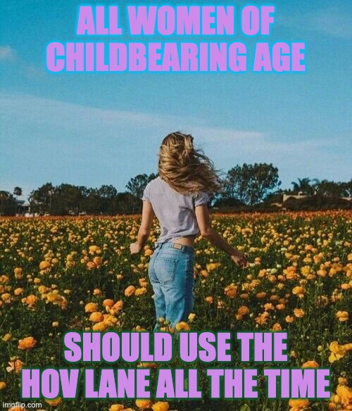When potential person = actual person |  ALL WOMEN OF CHILDBEARING AGE; SHOULD USE THE HOV LANE ALL THE TIME | image tagged in young woman in field of flowers,pregnancy,women's rights,law | made w/ Imgflip meme maker