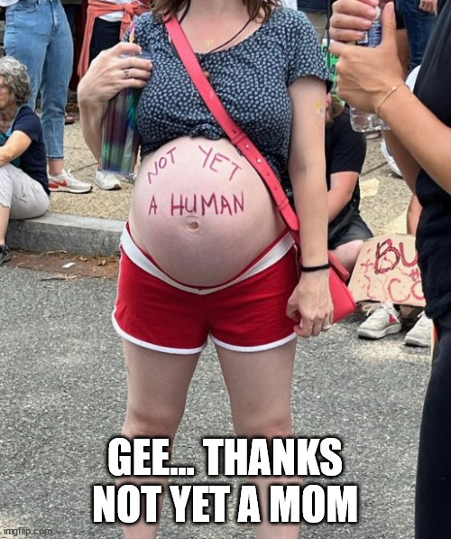 GEE... THANKS NOT YET A MOM | made w/ Imgflip meme maker