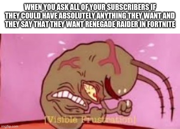 wenegade waider | WHEN YOU ASK ALL OF YOUR SUBSCRIBERS IF THEY COULD HAVE ABSOLUTELY ANYTHING THEY WANT AND THEY SAY THAT THEY WANT RENEGADE RAIDER IN FORTNITE | image tagged in visible frustration | made w/ Imgflip meme maker