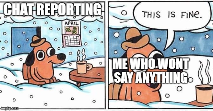 this is fine snow | CHAT REPORTING; ME WHO WONT SAY ANYTHING | image tagged in this is fine snow | made w/ Imgflip meme maker