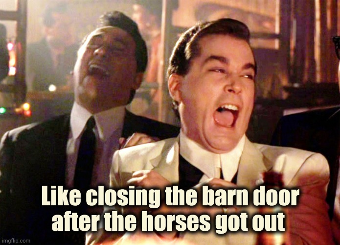 Good Fellas Hilarious Meme | Like closing the barn door
after the horses got out | image tagged in memes,good fellas hilarious | made w/ Imgflip meme maker