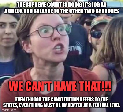 Angry Liberal | THE SUPREME COURT IS DOING IT'S JOB AS A CHECK AND BALANCE TO THE OTHER TWO BRANCHES; WE CAN'T HAVE THAT!!! EVEN THOUGH THE CONSTITUTION DEFERS TO THE STATES, EVERYTHING MUST BE MANDATED AT A FEDERAL LEVEL | image tagged in angry liberal | made w/ Imgflip meme maker
