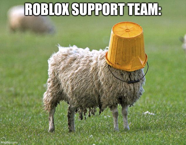 stupid sheep | ROBLOX SUPPORT TEAM: | image tagged in stupid sheep | made w/ Imgflip meme maker