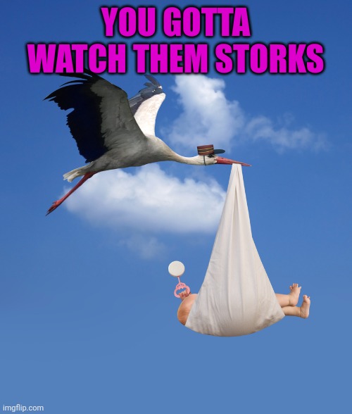 Stork, NATALISM, babies  | YOU GOTTA WATCH THEM STORKS | image tagged in stork natalism babies | made w/ Imgflip meme maker