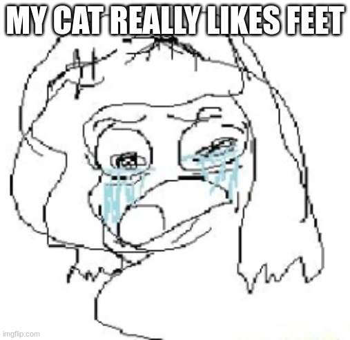 woman crying | MY CAT REALLY LIKES FEET | image tagged in woman crying | made w/ Imgflip meme maker