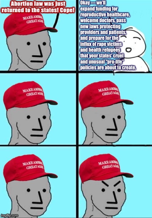 Wow MAGA NPC you really owned that libtrad | image tagged in blue states cope in a post-roe america,abortion,pro-choice,conservative logic,america | made w/ Imgflip meme maker