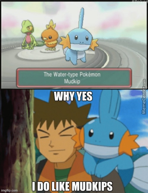 Mudkip is one of the best pokemon, so are his evolutions | made w/ Imgflip meme maker
